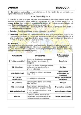 UNMSM BIOLOGÍA
La acción enzimática se caracteriza por la formación de un complejo que
representa el estado de transición.
E + S ES E + P
El sustrato se une al enzima a través de numerosasinteracciones débiles como son:
puentes de hidrógeno, electrostáticas, hidrófobas, etc, en un lugar específico , el
centro activo. Este centro es una pequeña porción del enzima, constituído por una
serie de aminoácidos que interaccionan con el sustrato.
su naturaleza se denominan:
1. Cofactor. Cuando se trata de iones o moléculas inorgánicas.
2. Coenzima. Cuando es una molécula orgánica. Aquí se puede señalar, que muchas
vitaminas funcionan como coenzimas; y realmente las deficiencias producidas por la
falta de vitaminas responde más bien a que no se puede sintetizar un determinado
enzima en el que la vitamina es el coenzima.
VITAMINAS
Algunas vitaminas son necesarias para la actuacisn de determinados enzimas, ya que
funcionan como coenzimas que intervienen en distintas rutas metabslicas y , por
ello, una deficiencia en una vitamina puede originar importantes defectos metabslicos,
como puede verse en la tabla adjunta:
VITAMINAS FUNCIONES
Enfermedades
carenciales
C (acido ascsrbico)
Coenzima de algunas peptidasas.
Interviene en la smntesis de
colageno
Escorbuto
B1 (tiamina)
Coenzima de las descarboxilasas y
de las enzima que transfieren
grupos aldehidos
Beriberi
B2 (riboflavina)
Constituyente de los coenzimas
FAD y FMN
Dermatitis y
lesiones en las
mucosas
B3 (acido
pantotinico)
Constituyente de la CoA
Fatiga y trastornos
del sueqo
B5 (niacina)
Constituyente de las coenzimas
NAD y NADP
Pelagra
B6 ( piridoxina)
Interviene en las reacciones de
transferencia de grupos aminos.
Depresisn, anemia
B12 (cobalamina)
Coenzima en la transferencia de
grupos metilo.
Anemia perniciosa
Biotina
Coenzima de las enzimas que
transfieren grupos carboxilo, en
metabolismo de aminoacidos.
Fatiga, dermatitis...
 