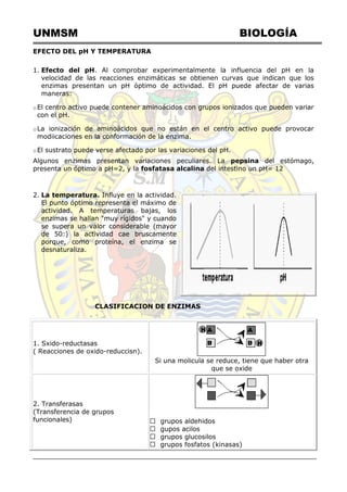 UNMSM BIOLOGÍA
EFECTO DEL pH Y TEMPERATURA
1. Efecto del pH. Al comprobar experimentalmente la influencia del pH en la
velocidad de las reacciones enzimáticas se obtienen curvas que indican que los
enzimas presentan un pH óptimo de actividad. El pH puede afectar de varias
maneras:
oEl centro activo puede contener aminoácidos con grupos ionizados que pueden variar
con el pH.
oLa ionización de aminoácidos que no están en el centro activo puede provocar
modiicaciones en la conformación de la enzima.
oEl sustrato puede verse afectado por las variaciones del pH.
Algunos enzimas presentan variaciones peculiares. La pepsina del estómago,
presenta un óptimo a pH=2, y la fosfatasa alcalina del intestino un pH= 12
2. La temperatura. Influye en la actividad.
El punto óptimo representa el máximo de
actividad. A temperaturas bajas, los
enzimas se hallan "muy rígidos" y cuando
se supera un valor considerable (mayor
de 50:) la actividad cae bruscamente
porque, como proteína, el enzima se
desnaturaliza.
CLASIFICACION DE ENZIMAS
1. Sxido-reductasas
( Reacciones de oxido-reduccisn).
Si una molicula se reduce, tiene que haber otra
que se oxide
2. Transferasas
(Transferencia de grupos
funcionales) grupos aldehidos
gupos acilos
grupos glucosilos
 