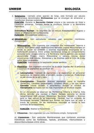 UNMSM BIOLOGÍA
2. Golgisoma.- Llamado antes aparato de Golgi, está formado por sáculos
membranosos denominados Dictiosomas que se encargan de almacenar y
transformar diversas sustancias.
FUNCIÓN: Durante la Secreción Celular origina a las vesiculas de Golgi o
Lisosomas primarios. También forma la envoltura Celular y la Membrana
Plasmática.
3.Envoltura Nuclear.- Es originada por el retículo Endoplasmático Rugoso y
separa al citoplasma del nucleoplasma.
FUNCIÓN: Permeabilidad selectiva.
a) ORGANELAS.- Son estructuras celulares que presentan membrana.
Comprenden:
1. Mitocondrias.- Son organelas que presentan dos membranas: externa e
interna. Esta última posee modificaciones llamadas crestas Mitocondriales en
donde se ubican las unidades o enzimas respiratorias encargadas de la
fosforilación oxidativa. Entre ambas membranas existe un compartimiento
conocido como cámara externa y la Membrana interna delimita una cavidad
denominada Mitosol, matriz Mitocondrial o cámara interna donde
encontramos ADN circular, Ribosomas y las Enzimas para el Ciclo de Krebs
entre otros compuestos.
FUNCIÓN: Interviene en la respiración celular aeróbica.
2. Plastidios.- Son organelos exclusivos de la célula vegetal. Por la presencia
o ausencia de pigmentos se clasifican en:
a) Leucoplastos.- Carecen de pigmentos y se especializan en almacenar
sustancias de reserva como el almidón, aceites y proteínas. Predominan
en las células de la raíz y tallo.
b) Cromoplastos.- Presentan diversos pigmentos como la Xantofila
(Amarrillo), Caroteno (Anaranjado); Licopeno (Rojo) y los que tienen
Clorofila (Verde azulado o amarillento) reciben el nombre de
Cloroplastos los cuales son los más importantes de la célula vegetal.
En un cloroplasto se observan las Membranas Externa e Interna. Esta
última delimita una cavidad o Matriz llamada estroma en donde
concentramos ADN circular, Ribosomas, Azucares, Almidón y Enzimas
para la fase oscura de la fotosíntesis. También hay un conjunto de
Membranas llamadas Tilacoides que forman los Grana que se unen a
través de Lamelas. En las membranas tilacoides se realiza la fase
luminosa de la Fotosíntesis.
FUNCIÓN: Realiza la Fotosíntesis
3. Citosomas.- Son organelas con una membrana simple. Comprende:
a) Lisosomas.- Son vesículas Membranosas que contienen enzimas
hidrolíticas como las fosfatasas, lipasas, proteasas, ribonucleasas y
desoxiribonucleasas entre otras.
 
