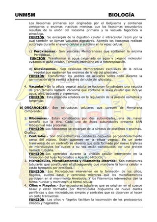 UNMSM BIOLOGÍA
Los lisosomas primarios son originados por el Golgisoma y contienen
zimógenos o enzimas inactivas mientras que los lisosomas secundarios
resultan de la unión del lisosoma primario y la vacuola fagocítica o
pinocítica.
FUNCIÓN: Se encargan de la digestión celular o intracelular razón por la
cual también se llaman vacuolas digestivas. Además los lisosomas realizan
autofagia durante el ayuno celular y autolisis en la vejez celular.
c) Peroxisomas.- Son vesículas Membranosas que contienen la enzima
Peroxidasa.
FUNCIÓN: Transformar el agua oxigenada en agua y oxigeno molecular
evitando el daño celular. También interviene en la fotorespiración.
d) Glioxiosomas.- Son vesículas Membranosas exclusivas de la célula
vegetal que contienen las enzimas de la vía del glioxilato.
FUNCIÓN: Transformar los aceites en azúcares sobre todo durante la
germinación de la semilla a través del ciclo del glioxilato..
4. Vacuolas.- En la célula vegetal adulta se fusionan formándose una vacuola
de gran tamaño llamada Vacuoma que contiene la savia celular que incluye
agua, ales, azúcares y pigmentos.
FUNCIÓN: Esta organela colabora en la regulación de la presión osmótica y
turgencia.
b) ORGANOIDES.- Son estructuras celulares que carecen de Membrana
comprende:
1. Ribosomas.- Están constituidos por dos subunidades, una de mayor
tamaño que la otra. Cada una de éstas subunidades presenta ARN
Ribosomial más proteínas.
FUNCIÓN:Los Ribosomas se encargan de la síntesis de proteínas y enzimas.
Grafico.
2. Centriolos.- Son dos estructuras cilíndricas dispuetas perpendicularmente
cerca del núcleo. Están ausentes en la célula vegetal. En un corte
transversal de un centriolo se observa que está formado por nueve tripletes
de microtúbulos los cuales a su vez están constituidos por una proteín
llamada tubulina.
FUNCIÓN:Los centriolos durante la división celular intervienen en la
formación del huso Acromático o Aparato Mitótico.
3. Microtúbulos, Microfilamentos y Filamentos Internos: Son estructuras
tubulares que constituyen el citoesqueleto que mantiene la forma celular y
están formados por proteínas.
FUNCIÓN: Los Microtúbulos intervienen en la formación de los cilios,
flagelos, cuerpo basal y centriolos mientras que los microfílamentos
participan en el movimiento Ameboide. Y los Filamentos intermedios dan la
forma nuclear y mantienen la forma celular.
4. Cilios y Flagelos.- Son estructuras tubulares que se originan en el cuerpo
basal y están formados por Microtúbulos dispuestos en nueve diadas
periféricas y dos microtúbulos simples y centrales que se observan al hacer
un corte transversal.
FUNCIÓN: Los cilios y flagelos facilitan la locomoción de los protozoarios
ciliados y flagelados.
 