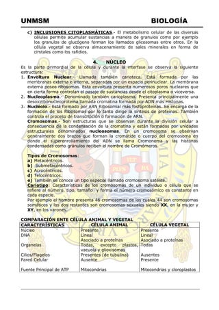 UNMSM BIOLOGÍA
c) INCLUSIONES CITOPLASMÁTICAS.- El metabolismo celular de las diversas
células permite acumular sustancias a manera de granulos como por ejemplo
los granulos de glucógeno forman los llamados glicosomas entre otros. En la
célula vegetal se observa almacenamiento de sales minerales en forma de
cirstales como los rafidios.
4. NÚCLEO
Es la parte primordial de la célula y durante la interfase se observa la siguiente
estructura:
1. Envoltura Nuclear.- Llamada también carioteca. Está formada por las
membranas externa e interna, separadas por un espacio perinuclear. La membrana
externa posee ribosomas. Esta envoltura presenta numerosos poros nucleares que
en cierta forma controlan el pasaje de sustancias desde el citoplasma o viceversa.
2. Nucleoplasma.- Denominado también carioplasma. Presenta principalmente una
desoxiribonucleoproteína llamada cromatina formada por ADN más Histonas.
3. Nucleolo.- Está formado por ARN Ribosomial más fosfoproteínas. Se encarga de la
formación de los Ribosomas por lo tanto dirige la síntesis de proteínas. También
controla el proceso de transcripción o formación de ARN.
Cromosomas.- Son estructuras que se observan durante la división celular a
consecuencia de la condensación de la cromatina y están formados por unidades
estructurales denominados nucleosomas. En un cromosoma se observan
generalmente dos brazos que forman la cromátide o cuerpo del cromosoma en
donde el superenrollamiento del ADN se llama Cromonema y las histonas
condensadas como gránulos reciben el nombre de Cromómeros.
Tipos de Cromosomas:
a) Metacéntricos.
b) Submetacéntricos.
c) Acrocéntricos.
d) Telocéntricos.
e) También se conoce un tipo especial llamado cromosoma satélite.
Cariotipo: Características de los cromosomas de un individuo o célula que se
refiere al número, tipo, tamaño y forma el número cromosómico es constante en
cada especie.
Por ejemplo el hombre presenta 46 cromosomas de los cuales 44 son cromosomas
somáticos y los dos restantes son cromosomas sexuales siendo XX, en la mujer y
XY, en los varones.
COMPARACIÓN ENTE CÉLULA ANIMAL Y VEGETAL
CARACTERÍSTICAS CÉLULA ANIMAL CÉLULA VEGETAL
Núcleo
DNA
Organelas
Cilios/Flagelos
Pared Celular
Fuente Principal de ATP
Presente
Lineal
Asociado a proteínas
Todas, excepto plastos,
vacuola y glioxisomas
Presentes (de tubulina)
Ausente
Mitocondrias
Presente
Lineal
Asociado a proteínas
Todas
Ausentes
Presente
Mitocondrias y cloroplastos
 