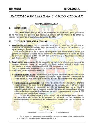 UNMSM BIOLOGÍA
RESPIRACION CELULAR Y CICLO CELULAR
RESPIRACIÓN CELULAR
I. DEFINICIÓN:
Son oxidaciones biológicas de los compuestos orgánicos, principalmente
de la molécula de glucosa que realiza la célula con la finalidad de obtener,
liberar y almacenar energía bajo la forma de ATP.
II. TIPOS DE RESPIRACIÓN CELULAR:
1. Respiración aeróbica: es la oxidación total de la molécula de glucosa en
presencia de oxígeno molecular hasta la formación de dióxido de carbono (CO2),
agua y energía, a menudo 36 ATP.
Este proceso se inicia en el citosol del citoplasma por medio de la glucolisis que
genera 2 ATP como ganancia neta y termina en las mitocondrias a través del Ciclo
de Krebs que produce 2 ATP (Un ATP 4en cada vuelta) y la fosforilación oxidativa
que da generalmente 32 ATP.
2. Respiración anaeróbica: Es la oxidación parcial de la glucosa en ausencia de
oxígeno molecular hasta la formación de ácido láctico, etanol o algún otro
intermediario orgánico y la obtención de 2 ATP de ganancia neta.
Este proceso también se conoce con el nombre de Fermentación.
Entre los tipos de fermentación tenemos:
a) Fermentación Láctica: Es realizado por algunas bacterias; la célula muscular
cuando está en deuda de oxígeno y glóbulos rojos. Produce 2 moléculas de
ácido láctico y 2 ATP como ganancia neta a partir de una molécula de glucosa.
b) Fermentación Alcohólica: Se lleva a cabo en las levaduras (hongos
unicelulares) es la base de la producción de la cerveza, vino y otras bebidas
alcohólicas. Además la producción de CO2 es aprovechado en la industria
panadera para hacer que la masa se levante . da lugar a 2 moléculas de alcohol
etílico más dos moléculas de dióxido de carbono y una ganancia neta de 2 ATP
a partir de una molécula de glucosa.
En esta vía diferencia de la anterior en 2 pasos adicionales, cada piruvato
se transforma en etanol; en el primero, el piruvato por una reacción de
descarboxilación se transforma en acetaldehído liberándose una molécula de
CO2.
2 Piruvato 2 Acetaldehído
2 CO2
En el segundo paso cada acetaldehído se reduce a etanol de modo similar
a la reacción vista en la fermentación láctica.
 