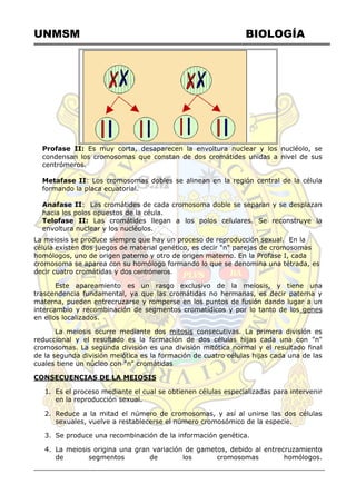 UNMSM BIOLOGÍA
Profase II: Es muy corta, desaparecen la envoltura nuclear y los nucléolo, se
condensan los cromosomas que constan de dos cromátides unidas a nivel de sus
centrómeros.
Metafase II: Los cromosomas dobles se alinean en la región central de la célula
formando la placa ecuatorial.
Anafase II: Las cromátides de cada cromosoma doble se separan y se desplazan
hacia los polos opuestos de la céula.
Telofase II: Las cromátides llegan a los polos celulares. Se reconstruye la
envoltura nuclear y los nucléolos.
La meiosis se produce siempre que hay un proceso de reproducción sexual. En la
célula existen dos juegos de material genético, es decir "n" parejas de cromosomas
homólogos, uno de origen paterno y otro de origen materno. En la Profase I, cada
cromosoma se aparea con su homólogo formando lo que se denomina una tétrada, es
decir cuatro cromátidas y dos centrómeros.
Este apareamiento es un rasgo exclusivo de la meiosis, y tiene una
trascendencia fundamental, ya que las cromátidas no hermanas, es decir paterna y
materna, pueden entrecruzarse y romperse en los puntos de fusión dando lugar a un
intercambio y recombinación de segmentos cromatídicos y por lo tanto de los genes
en ellos localizados.
La meiosis ocurre mediante dos mitosis consecutivas. La primera división es
reduccional y el resultado es la formación de dos células hijas cada una con "n"
cromosomas. La segunda división es una división mitótica normal y el resultado final
de la segunda división meiótica es la formación de cuatro células hijas cada una de las
cuales tiene un núcleo con "n" cromátidas
CONSECUENCIAS DE LA MEIOSIS
1. Es el proceso mediante el cual se obtienen células especializadas para intervenir
en la reproducción sexual.
2. Reduce a la mitad el número de cromosomas, y así al unirse las dos células
sexuales, vuelve a restablecerse el número cromosómico de la especie.
3. Se produce una recombinación de la información genética.
4. La meiosis origina una gran variación de gametos, debido al entrecruzamiento
de segmentos de los cromosomas homólogos.
 