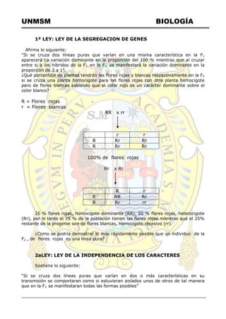 UNMSM BIOLOGÍA
1ª LEY: LEY DE LA SEGREGACION DE GENES
Afirma lo siguiente:
―Si se cruza dos líneas puras que varían en una misma característica en la F1
aparecerá La variación dominante en la proporción del 100 % mientras que al cruzar
entre si a los híbridos de la F1, en la F2 se manifestará la variación dominante en la
proporción de 3 a 1‖.
¿Qué porcentaje de plantas tendrán las flores rojas y blancas respectivamente en la F2
si se cruza una planta homocigote para las flores rojas con otra planta homocigote
pero de flores blancas sabiendo que el color rojo es un carácter dominante sobre el
color blanco?
R = Flores rojas
r = Flores blancas
RR x rr
r r
R Rr Rr
R Rr Rr
100% de flores rojas
Rr x Rr
R r
R RR Rr
R Rr rr
25 % flores rojas, homocigote dominante (RR), 50 % flores rojas, heterocigote
(Rr), por lo tanto el 75 % de la población tienen las flores rojas mientras que el 25%
restante de la progenie son de flores blancas, homocigote recesivo (rr).
¿Como se podría demostrar lo más rápidamente posible que un individuo de la
F2 , de flores rojas es una línea pura?
2aLEY: LEY DE LA INDEPENDENCIA DE LOS CARACTERES
Sostiene lo siguiente:
―Si se cruza dos líneas puras que varían en dos o más características en su
transmisión se comportaran como si estuvieran aislados unos de otros de tal manera
que en la F2 se manifestaran todas las formas posibles‖
 