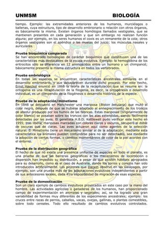 UNMSM BIOLOGÍA
tiempo. Ejemplo: las extremidades anteriores de los humanos, murciélagos o
ballenas, cuya estructura, tipo de desarrollo embrionario o relación con otros órganos,
es básicamente la misma. Existen órganos homólogos llamados vestigiales, que se
mantienen presentes en cada generación y que sin embargo no realizan función
alguna; por ejemplo, en los seres humanos el coxis es un remanente de la cola; otros
órganos vestigiales son el apéndice o las muelas del juicio; los músculos nasales y
auriculares.
Prueba bioquímica comparada
Se han encontrado homologías de carácter bioquímico que constituyen una de las
características más destacables de la escala evolutiva. Ejemplo: la hemoglobina de los
eritrocitos sólo se diferencia en 12 aminoácidos entre un humano y un chimpancé;
básicamente presenta la misma estructura en todos los vertebrados.
Prueba embriológica
En todas las especies se encuentran características ancestrales similares en el
desarrollo embrionario, y que desaparecen durante dicho proceso. Por este hecho,
Ernst Haeckel enunció en 1866 la teoría de la recapitulación que se resume en: la
ontogenia es una recapitulación de la filogenia, es decir, la ontogénesis o desarrollo
individual, es un compendio de la filogénesis o desarrollo histórico de la especie.
Prueba de la adaptación/mimetismo
En 1848 se descubrió en Manchester una mariposa (Biston betularia) que mutó al
color negro, después de que se hubiese adaptado al ennegrecimiento de los troncos
de abedul producido por los humos de las fábricas. Estas mariposas (originalmente de
color blanco) se posaban sobre los troncos con las alas extendidas, siendo fácilmente
detectadas por las aves. El genetista H.B.D. Kettlewell pudo verificar este hecho en
1955; tras liberar mariposas marcadas con colores claros y oscuros, recuperó el doble
de oscuras que de claras. Las aves actuaron aquí como agentes de la selección
natural. El Mimetismo tiene un mecanismo similar al de la adaptación; mediante esta
característica los animales pueden confundirse para no ser detectados, sea mediante
la adopción de ciertas formas, o cambios momentáneos de color de la piel acordes con
el entorno.
Prueba de la distribución geográfica
El hecho de que no exista una presencia uniforme de especies en todo el planeta, es
una prueba de que las barreras geográficas o los mecanismos de locomoción o
dispersión han impedido su distribución, a pesar de que existen hábitats apropiados
para su desarrollo, como es el caso de Australia, donde los zorros y conejos han sido
introducidos artificialmente. Los pinzones que Darwin observó en las Galápagos, por
ejemplo, son una prueba más de las adaptaciones evolutivas independientes a partir
de sus antecesores locales, dada 41la imposibilidad de migración de esas especies.
Prueba de la domesticación
Son un claro ejemplo de cambios evolutivos provocados en este caso por la mano del
hombre. Las actividades agrícolas o ganaderas de los humanos, han proporcionado
campo de experimentación en animales y vegetales; así, se ha logrado una gran
variabilidad de formas muy diferentes de los especimenes ancestrales; ejemplo: los
cruces entre razas de perros, caballos, vacas, ovejas, gallinas, o plantas comestibles,
sobre todo cereales. Todo ello resultado de cambios evolutivos controlados.
 