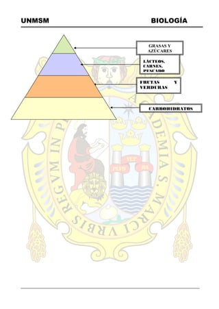 UNMSM BIOLOGÍA
CARBOHIDRATOS
FRUTAS Y
VERDURAS
GRASAS Y
AZÚCARES
LÁCTEOS,
CARNES,
PESCADO
 