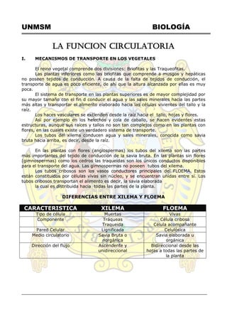 UNMSM BIOLOGÍA
LA FUNCION CIRCULATORIA
I. MECANISMOS DE TRANSPORTE EN LOS VEGETALES
El reino vegetal comprende dos divisiones: Briofitas y las Traqueofitas.
Las plantas inferiores como las briofitas que comprende a musgos y hepáticas
no poseen tejidos de conducción. A causa de la falta de tejidos de conducción, el
transporte de agua es poco eficiente, de ahí que la altura alcanzada por ellas es muy
poca.
El sistema de transporte en las plantas superiores es de mayor complejidad por
su mayor tamaño con el fin d conducir el agua y las sales minerales hacia las partes
más altas y transportar el alimento elaborado hacia las células vivientes del tallo y la
raíz.
Los haces vasculares se extienden desde la raíz hacia el tallo, hojas y flores.
Así por ejemplo en los helechos y cola de caballo, se hacen evidentes estas
estructuras, aunque sus raíces y tallos no son tan complejos como en las plantas con
flores, en las cuales existe un verdadero sistema de transporte.
Los tubos del xilema conducen agua y sales minerales, conocida como savia
bruta hacia arriba, es decir, desde la raíz.
En las plantas con flores (angiospermas) los tubos del xilema son las partes
más importantes del tejido de conducción de la savia bruta. En las plantas sin flores
(gimnospermas) como los cedros las traqueidas son los únicos conductos disponibles
para el transporte del agua. Las gimnospermas no poseen tubos del xilema.
Los tubos cribosos son los vasos conductores principales del FLOEMA. Estos
están constituidos por células vivas sin núcleo, y se encuentran unidas entre sí. Los
tubos cribosos transportan el alimento es decir, la savia elaborada
la cual es distribuida hacia todas las partes de la planta.
DIFERENCIAS ENTRE XILEMA Y FLOEMA
CARACTERISTICA XILEMA FLOEMA
Tipo de célula Muertas Vivas
Componente Tráqueas
Traqueida
Célula cribosa
Célula acompañante
Pared Celular Lignificada Celulósica
Medio circulatorio Savia Bruta o
norgánica
Savia elaborada u
orgánica
Dirección del flujo Ascendente y
unidireccional
Bidireccional desde las
hojas a todas las partes de
la planta
 