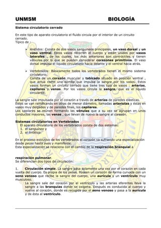 UNMSM BIOLOGÍA
Sistema circulatorio cerrado
En este tipo de aparato circulatorio el fluido circula por el interior de un circuito
cerrado.
Típico de :
 Anélidos: Consta de dos vasos sanguineos principales, un vaso dorsal y un
vaso ventral. Estos vasos recorren el cuerpo y están unidos por vasos
laterales , de los cuales, los más anteriores son contráctiles y tienen
válvulas por lo que se pueden considerar corazones primitivos. El vaso
dorsal impulsa el líquido circulatorio hacia delante y el ventral hacia atrás.
 Vertebrados: Básicamente todos los vertebrados tienen el mismo sistema
circulatorio.
Consta de un corazón muscular y tabicado situado en posición ventral ,
que actua como una bomba que impulsa la sangre por los vasos. Estos
vasos forman un circuito cerrado que tiene tres tipo de vasos : arterias,
capilares y venas. Por los vasos circula la sangre, que es el líquido
circulante.
La sangre sale impulsada por el corazón a través de arterias de paredes elásticas.
Estas se van ramificando en otras de menor diámetro, llamadas arteriolas y éstas en
vasos muy delgados y de paredes finas, los capilares.
Los capilares se reúnen formando las vénulas que a su vez se agrupan en unos
conductos mayores, las venas , que llevan de nuevo la sangre al corazón.
Sistemas circulatorios en Vertebrados
El aparato circulatorio de los vertebrados consta de dos sistemas:
1. el sanguíneo y
2. el linfático.
En el proceso evolutivo de los vertebrados el corazón va sufriendo una especialización
desde peces hasta aves y mamíferos.
Esta especialización se relaciona con el cambio de la respiración branquial a
respiración pulmonar.
Se diferencian dos tipos de circulación:
1. Circulación simple. La sangre pasa solamente una vez por el corazón en cada
vuelta del cuerpo. Es propia de los peces. Poseen un corazón de forma curvada con un
seno venoso que recibe la sangre del cuerpo, una aurícula y un ventrículo muy
musculoso.
La sangre sale del corazón por el ventrículo y las arterias eferentes lleva la
sangre a las branquias donde se oxigena. Después es conducida al cuerpo y
vuelve al corazón, donde es recogida por el seno venoso y pasa a la aurícula
y de ésta al ventrículo.
 