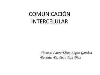 COMUNICACIÓN
INTERCELULAR
Alumna: Laura Elena López Gamboa
Docente: Dr. Sixto Sosa Díaz
 