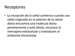 Receptores
• La recepción de la señal comienza cuando una
señal originada en el exterior de la célula
diana encuentra una molécula diana
perteneciente a esta célula, reconoce al
mensajero extracelular y transducen al
ambiente intracelular.
 