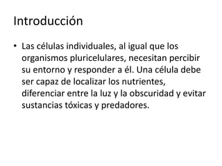 Introducción
• Las células individuales, al igual que los
organismos pluricelulares, necesitan percibir
su entorno y responder a él. Una célula debe
ser capaz de localizar los nutrientes,
diferenciar entre la luz y la obscuridad y evitar
sustancias tóxicas y predadores.
 