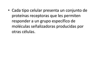 • Cada tipo celular presenta un conjunto de
proteínas receptoras que les permiten
responder a un grupo específico de
moléculas señalizadoras producidas por
otras células.
 