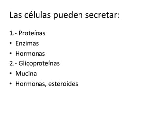 Las células pueden secretar:
1.- Proteínas
• Enzimas
• Hormonas
2.- Glicoproteínas
• Mucina
• Hormonas, esteroides
 
