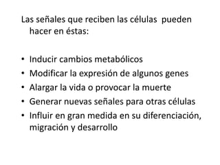 Las señales que reciben las células pueden
hacer en éstas:
• Inducir cambios metabólicos
• Modificar la expresión de algunos genes
• Alargar la vida o provocar la muerte
• Generar nuevas señales para otras células
• Influir en gran medida en su diferenciación,
migración y desarrollo
 