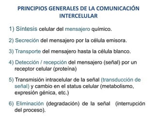PRINCIPIOS GENERALES DE LA COMUNICACIÓN
INTERCELULAR
1) Síntesis celular del mensajero químico.
2) Secreción del mensajero por la célula emisora.
3) Transporte del mensajero hasta la célula blanco.
4) Detección / recepción del mensajero (señal) por un
receptor celular (proteína)
5) Transmisión intracelular de la señal (transducción de
señal) y cambio en el status celular (metabolismo,
expresión génica, etc.)
6) Eliminación (degradación) de la señal (interrupción
del proceso).
 