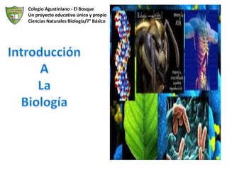 Colegio Agustiniano - El Bosque
Un proyecto educativo único y propio
Ciencias Naturales Biología/7° Básico
 