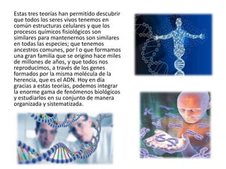 Estas tres teorías han permitido descubrir
que todos los seres vivos tenemos en
común estructuras celulares y que los
procesos químicos fisiológicos son
similares para mantenernos son similares
en todas las especies; que tenemos
ancestros comunes, por l o que formamos
una gran familia que se origino hace miles
de millones de años, y que todos nos
reproducimos, a través de los genes
formados por la misma molécula de la
herencia, que es el ADN. Hoy en día
gracias a estas teorías, podemos integrar
la enorme gama de fenómenos biológicos
y estudiarlos en su conjunto de manera
organizada y sistematizada.
 