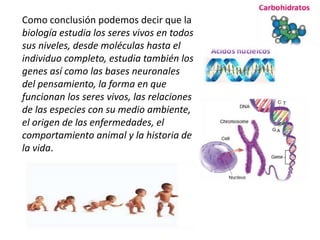 Como conclusión podemos decir que la
biología estudia los seres vivos en todos
sus niveles, desde moléculas hasta el
individuo completo, estudia también los
genes así como las bases neuronales
del pensamiento, la forma en que
funcionan los seres vivos, las relaciones
de las especies con su medio ambiente,
el origen de las enfermedades, el
comportamiento animal y la historia de
la vida.
 