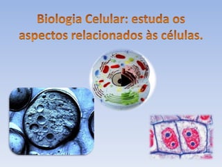 Biologia introdução
