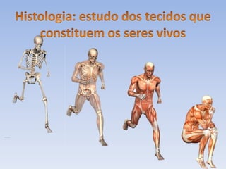 Biologia introdução
