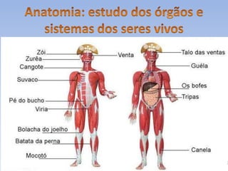 Biologia introdução