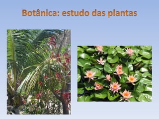 Biologia introdução