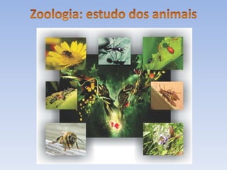 Biologia introdução