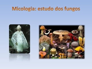 Biologia introdução