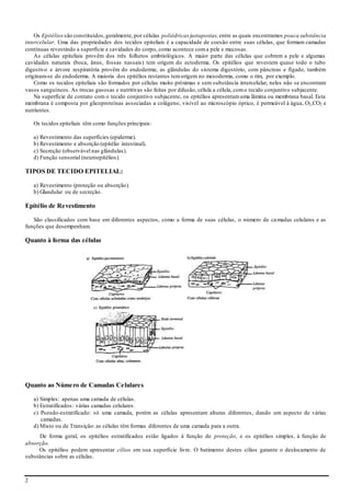 2
Os Epitélios são constituídos,geralmente, por células poliédricas justapostas, entre as quais encontramos pouca substância
intercelular. Uma das propriedades dos tecidos epiteliais é a capacidade de coesão entre suas células, que formam camadas
contínuas revestindo a superfície e cavidades do corpo, como acontece coma pele e mucosas.
As células epiteliais provêm dos três folhetos embriológicos. A maior parte das células que cobrem a pele e algumas
cavidades naturais (boca, ânus, fossas nassais) tem origem do ectoderma. Os epitélios que revestem quase todo o tubo
digestivo e árvore respiratória provêm do endoderma; as glândulas do sistema digestório, com pâncreas e fígado, também
originam-se do endoderma. A maioria dos epitélios restantes temorigem no mesoderma, como o rim, por exemplo.
Como os tecidos epiteliais são formados por células muito próximas e sem substância intercelular, neles não se encontram
vasos sanguíneos. As trocas gasosas e nutritivas são feitas por difusão, célula a célula, como tecido conjuntivo subjacente.
Na superfície de contato com o tecido conjuntivo subjacente, os epitélios apresentamuma lâmina ou membrana basal. Esta
membrana é composta por glicoproteínas associadas a colágeno, visível ao microscópio óptico, é permeável à água, O2,CO2 e
nutrientes.
Os tecidos epiteliais têm como funções principais:
a) Revestimento das superfícies (epiderme).
b) Revestimento e absorção (epitélio intestinal).
c) Secreção (observável nas glândulas).
d) Função sensorial (neuroepitélios).
TIPOS DE TECIDO EPITELIAL:
a) Revestimento (proteção ou absorção).
b) Glandular ou de secreção.
Epitélio de Revestimento
São classificados com base em diferentes aspectos, como a forma de suas células, o número de camadas celulares e as
funções que desempenham.
Quanto à forma das células
Quanto ao Número de Camadas Celulares
a) Simples: apenas uma camada de células.
b) Estratificados: várias camadas celulares.
c) Pseudo-estratificado: só uma camada, porém as células apresentam alturas diferentes, dando um aspecto de várias
camadas.
d) Misto ou de Transição: as células têm formas diferentes de uma camada para a outra.
De forma geral, os epitélios estratificados estão ligados à função de proteção, e os epitélios simples, à função de
absorção.
Os epitélios podem apresentar cílios em sua superfície livre. O batimento destes cílios garante o deslocamento de
substâncias sobre as células.
 