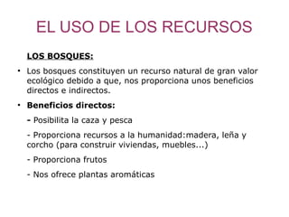 EL USO DE LOS RECURSOS
    LOS BOSQUES:
●
    Los bosques constituyen un recurso natural de gran valor
    ecológico debido a que, nos proporciona unos beneficios
    directos e indirectos.
●
    Beneficios directos:
    - Posibilita la caza y pesca
    - Proporciona recursos a la humanidad:madera, leña y
    corcho (para construir viviendas, muebles...)
    - Proporciona frutos
    - Nos ofrece plantas aromáticas
 