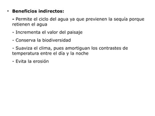 ●
    Beneficios indirectos:
    - Permite el ciclo del agua ya que previenen la sequía porque
    retienen el agua
    - Incrementa el valor del paisaje
    - Conserva la biodiversidad
    - Suaviza el clima, pues amortiguan los contrastes de
    temperatura entre el día y la noche
    - Evita la erosión
 