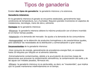 Tipos de ganadería
Existen dos tipos de ganadería: la ganadería intensiva y la extensiva.

Ganadería intensiva:

En la ganadería intensiva el ganado se encuentra estabulado, generalmente bajo
condiciones de temperatura, luz y humedad. Requiere grandes inversiones en aspectos de
instalaciones, tecnología, mano de obra y alimento

Ventajas de la ganadería intensiva:

-Eficiencia: la ganadería intensiva obtiene la máxima producción con el dinero invertido
en el menor tiempo posible.

-Adaptación a la demanda del mercado: Se ajusta a la demanda de los consumidores

-Homogeneidad: es la obtención de productos homogéneos o de características iguales,
para satisfacer las necesidades de la distribución y comercialización a gran escala.

Inconvenientes de la ganadería intensiva:

-Gran consumo de energía, generalmente de procedencia energía fósil, en ocasiones
hasta 20 kilojulios por kilojulio en el alimento obtenido.

-Extremadamente contaminantes, debido a la acumulación de enormes masas de
deyecciones que provocan la contaminación atmosférica, la contaminación del suelo y de
las aguas con metales pesados, fármacos etc.

-Efímero: la ganadería intensiva no es perdurable, es decir, es "insostenible", que implica
que no puede mantenerse indefinidamente en el tiempo.
 