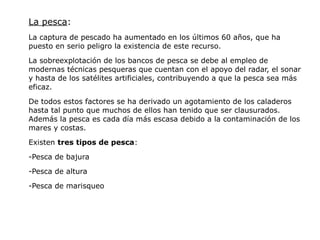La pesca:
La captura de pescado ha aumentado en los últimos 60 años, que ha
puesto en serio peligro la existencia de este recurso.

La sobreexplotación de los bancos de pesca se debe al empleo de
modernas técnicas pesqueras que cuentan con el apoyo del radar, el sonar
y hasta de los satélites artificiales, contribuyendo a que la pesca sea más
eficaz.

De todos estos factores se ha derivado un agotamiento de los caladeros
hasta tal punto que muchos de ellos han tenido que ser clausurados.
Además la pesca es cada día más escasa debido a la contaminación de los
mares y costas.

Existen tres tipos de pesca:

-Pesca de bajura

-Pesca de altura

-Pesca de marisqueo
 