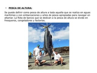 ●
    PESCA DE ALTURA:
Se puede definir como pesca de altura a toda aquella que se realiza en aguas
marítimas y con embarcaciones y artes de pesca apropiadas para navegar en
altamar. La flota de barcos que se dedican a la pesca de altura se divide en
fresqueros, congeladores y factorías.
 