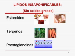 LIPIDOS INSAPONIFICABLES:  (Sin ácidos grasos) Esteroides Terpenos Prostaglandinas 
