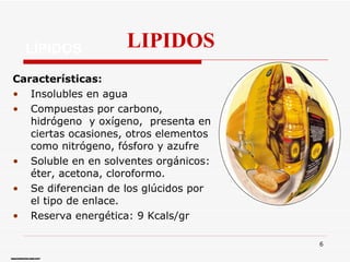LÍPIDOS Características: Insolubles en agua Compuestas por carbono, hidrógeno  y oxígeno,  presenta en ciertas ocasiones, otros elementos como nitrógeno, fósforo y azufre  Soluble en  en solventes orgánicos: éter, acetona, cloroformo. Se diferencian de los glúcidos por el tipo de enlace. Reserva energética: 9 Kcals/gr www.gastronomiavasca.net LIPIDOS 