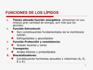 FUNCIONES DE LOS LÍPIDOS Tienen elevada función energética : almacenan en sus enlaces gran cantidad de energía, aun más que los glucidos. Función Estructural: Son constituyentes fundamentales de la membrana celular. Esfingolípidos y glucolípidos Función Protección y consistencia:   Grasas neutras y ceras Transporte:   Acidos biliares y proteolípidos Biocatalizadores: Constituyente hormonas sexuales y vitaminas (A, D, E y K). 