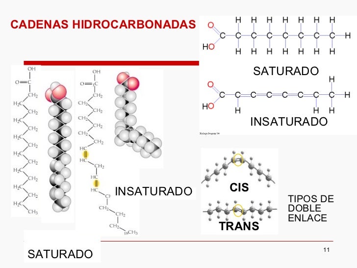 cadenas hidrocarbonadas clasificacion biologia lipidos cadenas hidrocarbonadas clasificacion biologia lipidos
