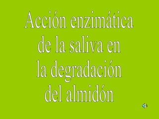 Acción enzimática de la saliva en  la degradación del almidón 