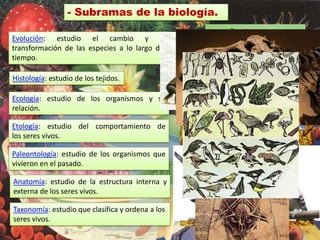 - Subramas de la biología.Evolución: estudio el cambio y la transformación de las especies a lo largo del tiempo.Histología: estudio de los tejidos.Ecología: estudio de los organismos y su relación.Etología: estudio del comportamiento de los seres vivos.Paleontología: estudio de los organismos que vivieron en el pasado.Anatomía: estudio de la estructura interna y externa de los seres vivos.Taxonomía: estudio que clasifica y ordena a los seres vivos.