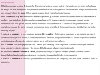 •Tercer trimestre
El bebé comienza a terminar de desarrollar diferentes partes de su cuerpo: todo lo relacionado con los ojos y las huellas de
los pies ya son bien perceptibles. Los pulmones también alcanzan un alto grado de funcionamiento, aunque no el necesario
para sobrevivir fuera del útero. El feto además es capaz de oír ruidos fuertes del exterior.
Entre las semanas 27 y 30 el bebé vuelve a abrir los párpados, y el sistema nervioso se desarrolla mucho, sobre todo en el
cerebro y para las órdenes de diferentes funciones del cuerpo. El sistema respiratorio comienza a producir agente
tensioactivo, que hace que los alveolos puedan llenarse de aire cuando nazca. El tamaño del feto para la semana 28 ya
ocupa la mayor parte del útero, y se suele posicionar de forma invertida, de forma que tenga más facilidad para mover las
rodillas y los pies.
A partir de la semana 31 el bebé comienza a retener hierro, calcio y fósforo en su organismo, lo que impulsa aún más el
desarrollo del cuerpo. Los huesos ya están completamente formados, aunque aún blandos. El sistema respiratorio también
continúa su desarrollo, pero los pulmones aún no son lo suficientemente maduros.
Para la semana 35 el bebé ya pesa cerca de 2,5 kilos, y su corazón y vasos sanguíneos ya se han formado por completo,
como también lo están los músculos y los huesos. El bebé además adquiere patrones de sueño.
En las últimas semanas, entre la 38 y la 40, desaparece el lanugo excepto de hombros y brazos, siendo el cabello
desarrollado en la cabeza además más grueso y resistente. Aparecen también los brotes mamarios.
A partir de la semana 40 se considera que el embrión está desarrollado por completo y listo para nacer, variando la fecha en
que ocurre.
 