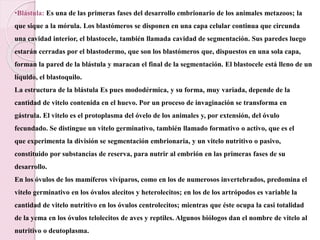 •Blástula: Es una de las primeras fases del desarrollo embrionario de los animales metazoos; la
que sique a la mórula. Los blastómeros se disponen en una capa celular continua que circunda
una cavidad interior, el blastocele, también llamada cavidad de segmentación. Sus paredes luego
estarán cerradas por el blastodermo, que son los blastómeros que, dispuestos en una sola capa,
forman la pared de la blástula y maracan el final de la segmentación. El blastocele está lleno de un
líquido, el blastoquilo.
La estructura de la blástula Es pues mododérmica, y su forma, muy variada, depende de la
cantidad de vitelo contenida en el huevo. Por un proceso de invaginación se transforma en
gástrula. El vitelo es el protoplasma del óvelo de los animales y, por extensión, del óvulo
fecundado. Se distingue un vitelo germinativo, también llamado formativo o activo, que es el
que experimenta la división se segmentación embrionaria, y un vitelo nutritivo o pasivo,
constituido por substancias de reserva, para nutrir al embrión en las primeras fases de su
desarrollo.
En los óvulos de los mamíferos vivíparos, como en los de numerosos invertebrados, predomina el
vitelo germinativo en los óvulos alecitos y heterolecitos; en los de los artrópodos es variable la
cantidad de vitelo nutritivo en los óvulos centrolecitos; mientras que éste ocupa la casi totalidad
de la yema en los óvulos telolecitos de aves y reptiles. Algunos biólogos dan el nombre de vitelo al
nutritivo o deutoplasma.
 