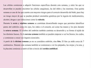 Las células comienzan a adquirir funciones específicas durante esta semana, y entre las que se
desarrollan se pueden encontrar las células sanguíneas, las del riñón y las neuronas. Esta quinta
semana es una de las que cuenta con mayores riesgos para el correcto desarrollo del bebé, pues hay
un riesgo mayor de que se puedan producir anomalías genéticas por la ingesta de medicamentos,
alcohol, drogas o por infecciones como la rubeola.
Durante la sexta y séptima semana se continúan desarrollando rasgos que permiten identificar
partes del embrión como los ojos, los oídos o el corazón, así como las manos y los pies durante
la octava semana. El cerebro del embrión también continúa su desarrollo y se forma el tejido de
los distintos huesos. En la novena semana también se pueden empezar a ver los brazos, los codos,
y comienzan a crecer sus órganos esenciales.
A partir de la décima semana ya no se considera embrión, sino feto. El feto ya mide cerca de 7
centímetros. Durante esta semana también se comienzan a ver los párpados, las orejas y la cara, y
la placenta comienza a nutrir al feto a través del cordón umbilical.
 