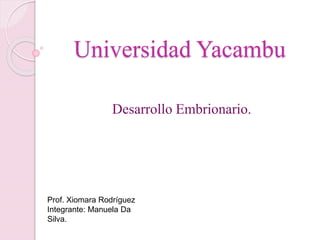 Universidad Yacambu
Desarrollo Embrionario.
Prof. Xiomara Rodríguez
Integrante: Manuela Da
Silva.
 