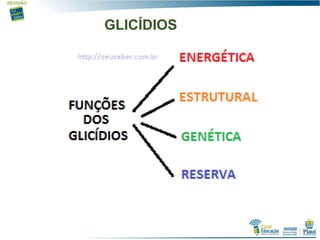 GLICÍDIOS
 
