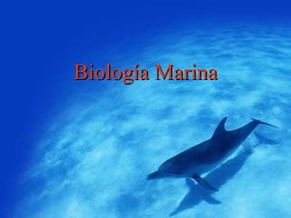 Biología Marina 