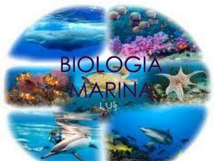 Biologia marina