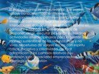 El Biólogo Marino es un profesional que posee sólidos conocimientos científicos y profesionales, que le permiten comprender e investigar con visión integral los procesos e interacciones que ocurren en el medio marino en particular e hídricos en general. Capaz de proponer, dirigir, ejecutar proyectos y coordinar actividades interdisciplinarias para la gestión y el manejo sustentable de los recursos vivos y no vivos, respetuoso de valores éticos; con espíritu crítico, iniciativa y creatividad, de fácil adaptación a los cambios relativos a su profesión, con capacidad emprendedora, de liderazgo y autogestión