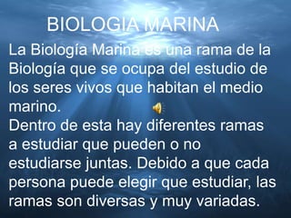 BIOLOGIA MARINA
La Biología Marina es una rama de la
Biología que se ocupa del estudio de
los seres vivos que habitan el medio
marino.
Dentro de esta hay diferentes ramas
a estudiar que pueden o no
estudiarse juntas. Debido a que cada
persona puede elegir que estudiar, las
ramas son diversas y muy variadas.
 