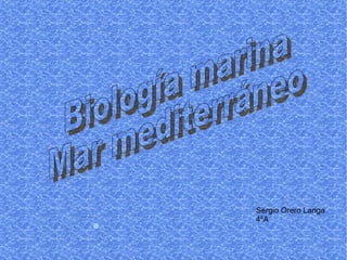 Sergio Orero Langa 4ºA Biología marina Mar mediterráneo 